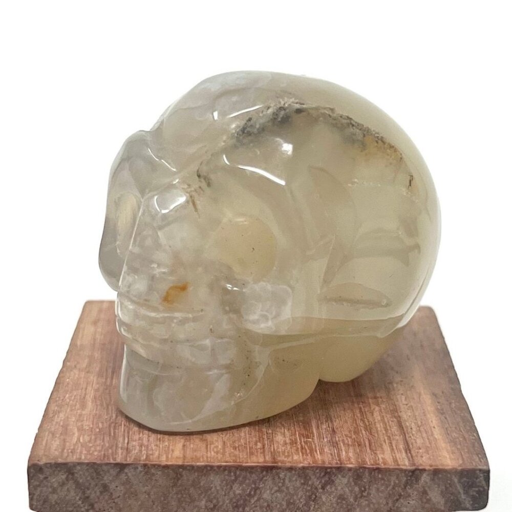 Flower Agate Druzy Skull Carving Crystal Healing Stone Natural semi Precious